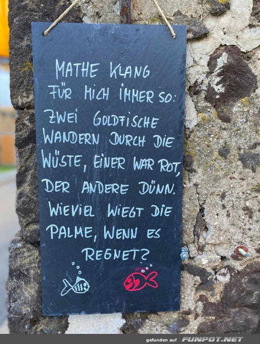 Mathe-Mysterien: Der Goldfisch-Code