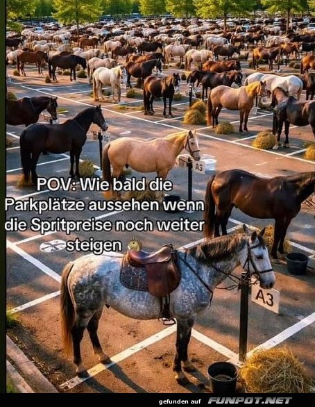 Pferdeparkplatz oder Zukunftsvision?