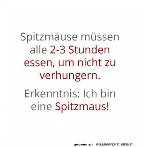 Spitzmaus-Erkenntnis!