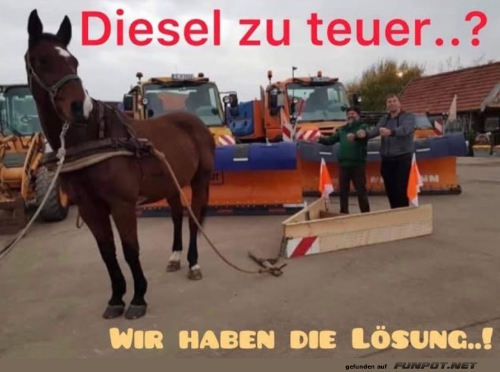 Pferdestarke L�sung gegen Dieselpreise!
