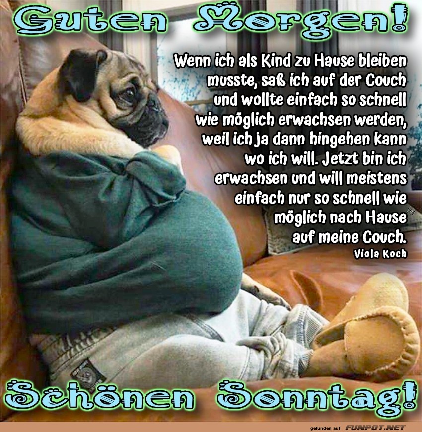 Mops gegen Couch: Ein Sonntagstriumph!