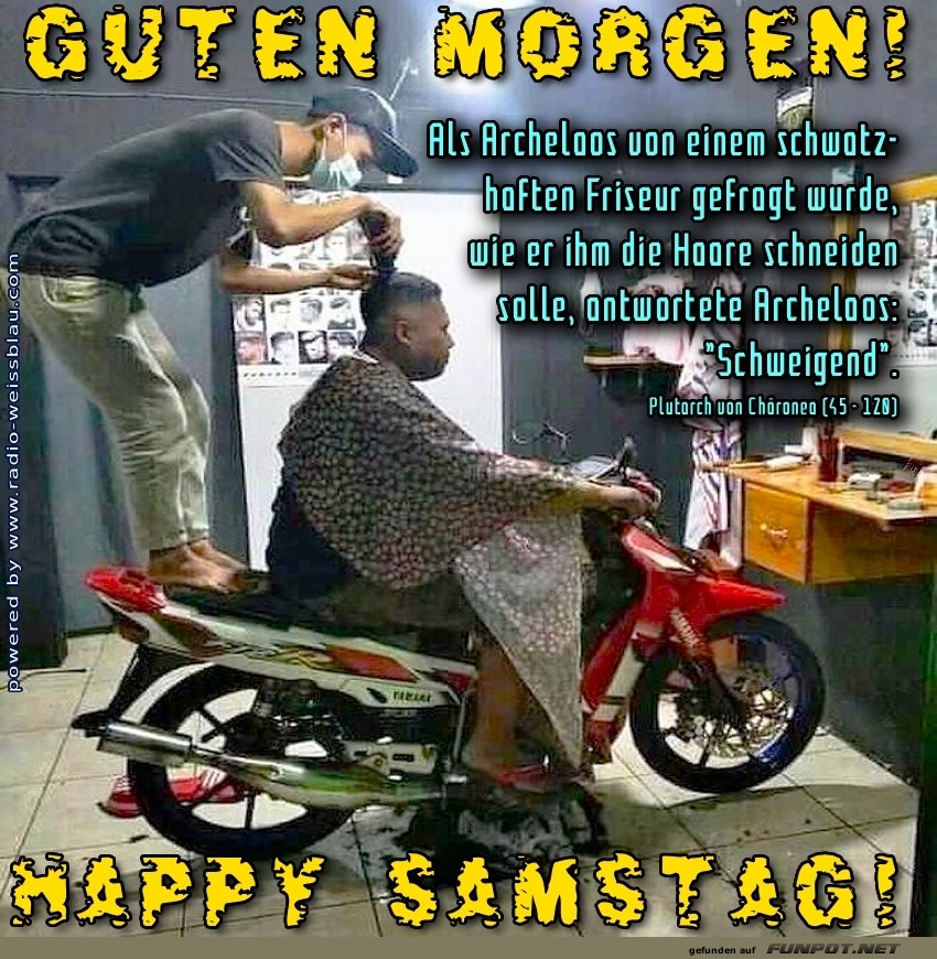 Motorhaarschnitt gef�llig?