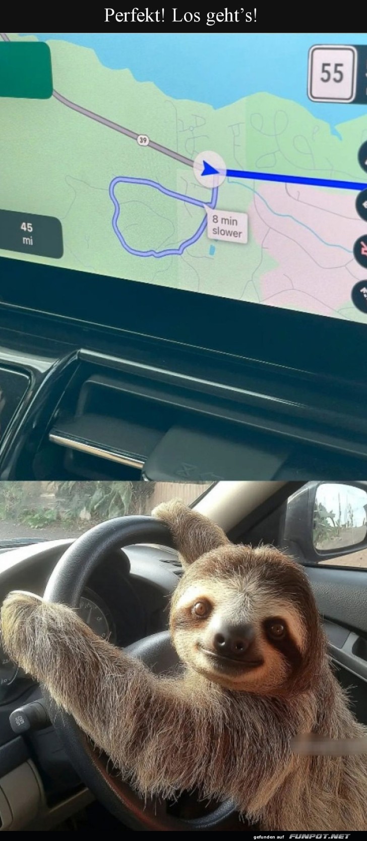 Wenn das Navi das Faultier navigiert