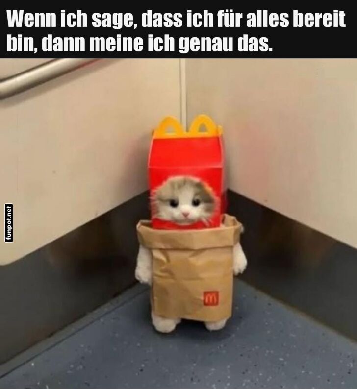 Fast Food K�tzchen auf den Punkt getroffen