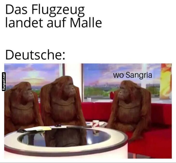 Affen-Sucht auf Mallorca