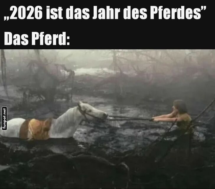 Wenn das Pferdejahr im Schlamm steckt!