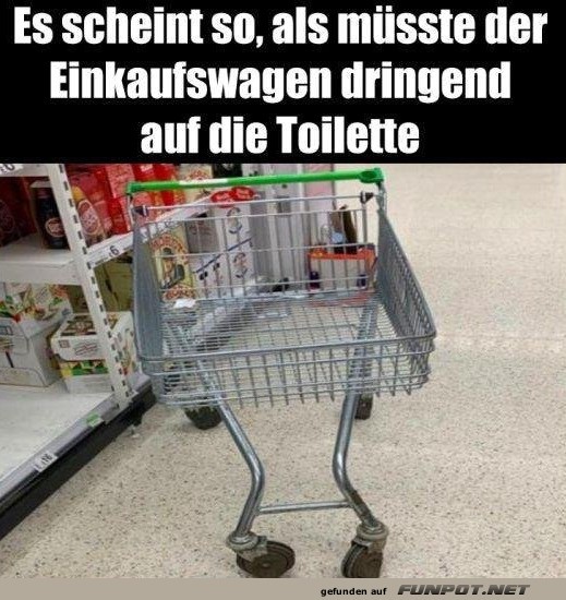 Der Einkaufswagen mit eigenem Kopf!