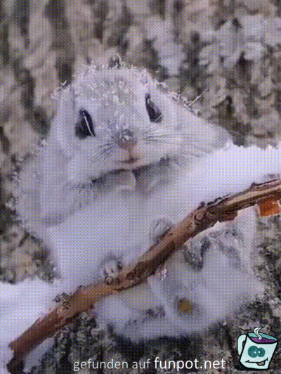 Niedliche Kerlchen Niedliche Kerlchen