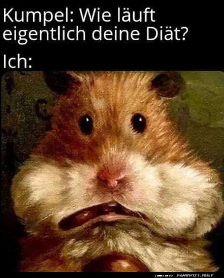 Wenn der Di�tplan zu K�se wird