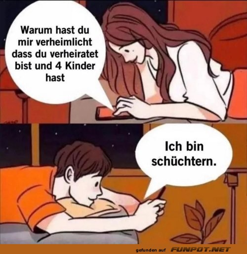 Heimliche �berraschungen in der digitalen Welt