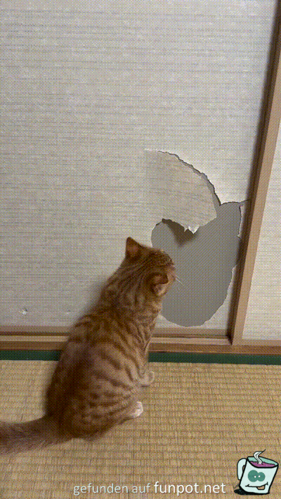 Runter mit der ollen Tapete