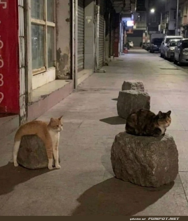 Wenn Steine zu Chillout-Lounges werden