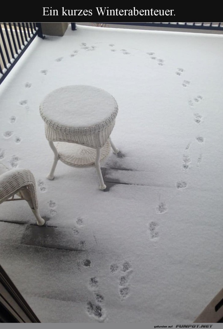 Zirkus im Schnee - die Balkonshow!