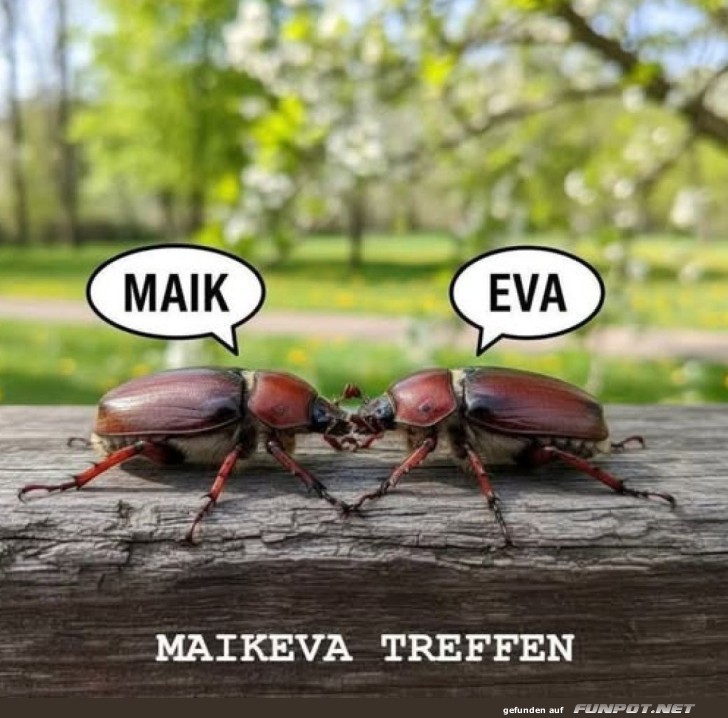 K�fer-Klatsch: Maik trifft Eva