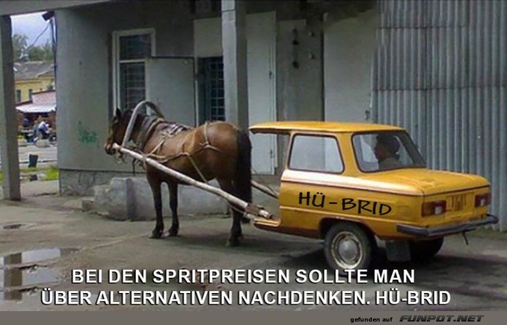 Das ultimative Pferdest�rken-Upgrade