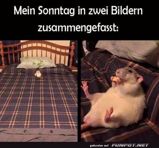 M��iggang wie ein Profi!