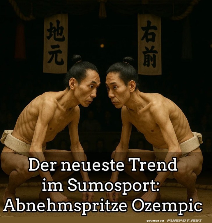 Sumo-Training: Wenn zwei sich d�nn machen...