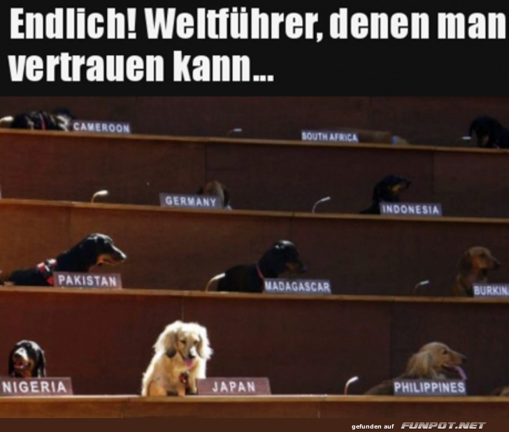 Das w�ren ordentliche Politiker