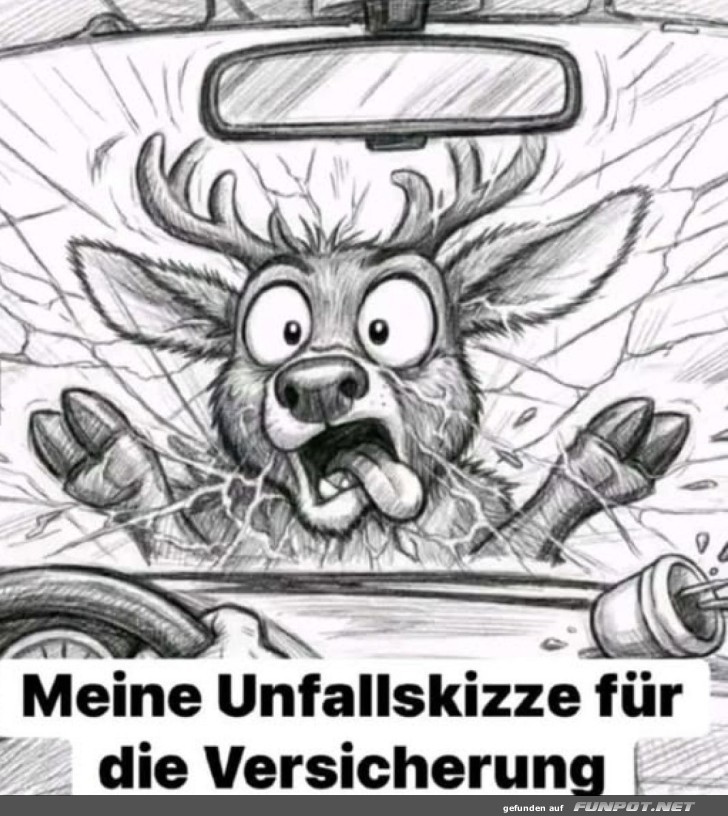 Vorsicht, Wildwechsel!
