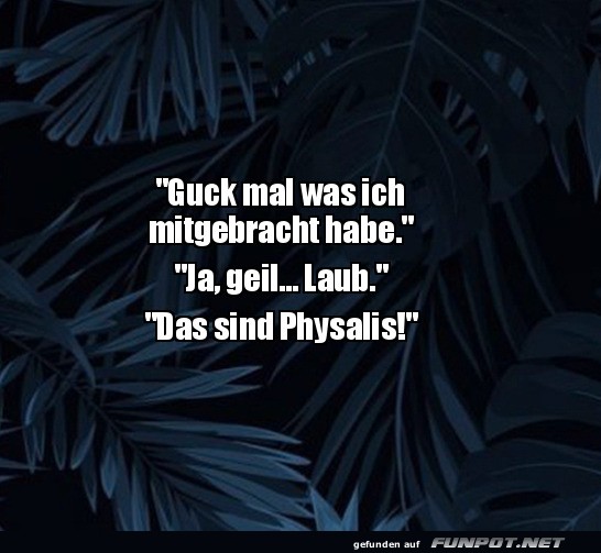 Laub oder Physalis? �berraschung garantiert!