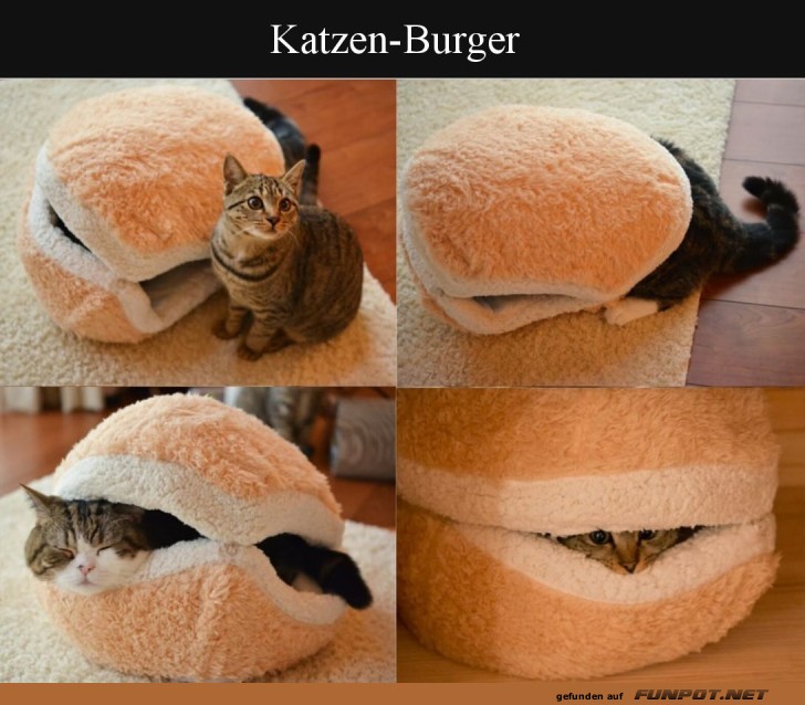Katzen-Burger: Die flauschigste Fastfood-Edition!