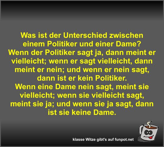 Was ist der Unterschied zwischen einem Politiker und einer