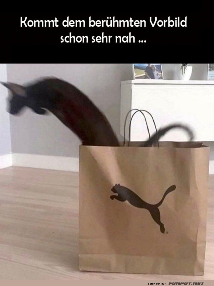 Katzenbeutel im Puma-Stil