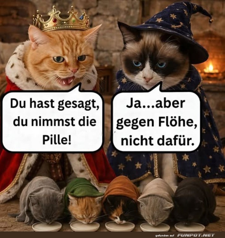 K�nigl. Missverst�ndnis bei der Katzenarmee