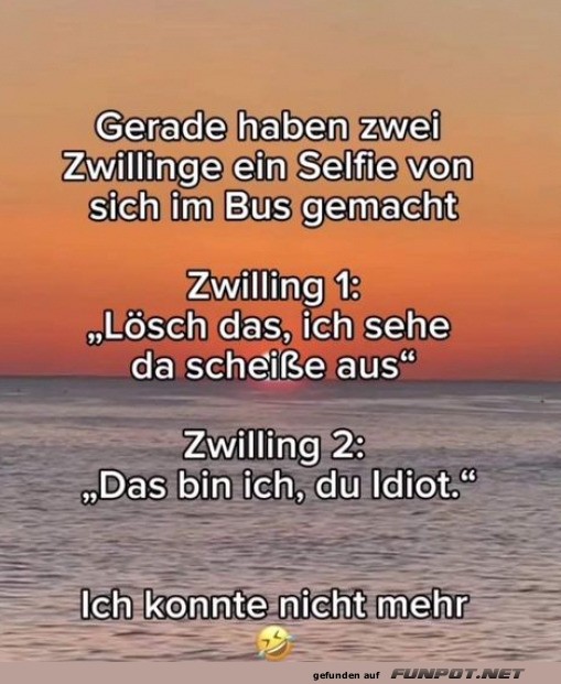 Zwillings-Desaster im Bus