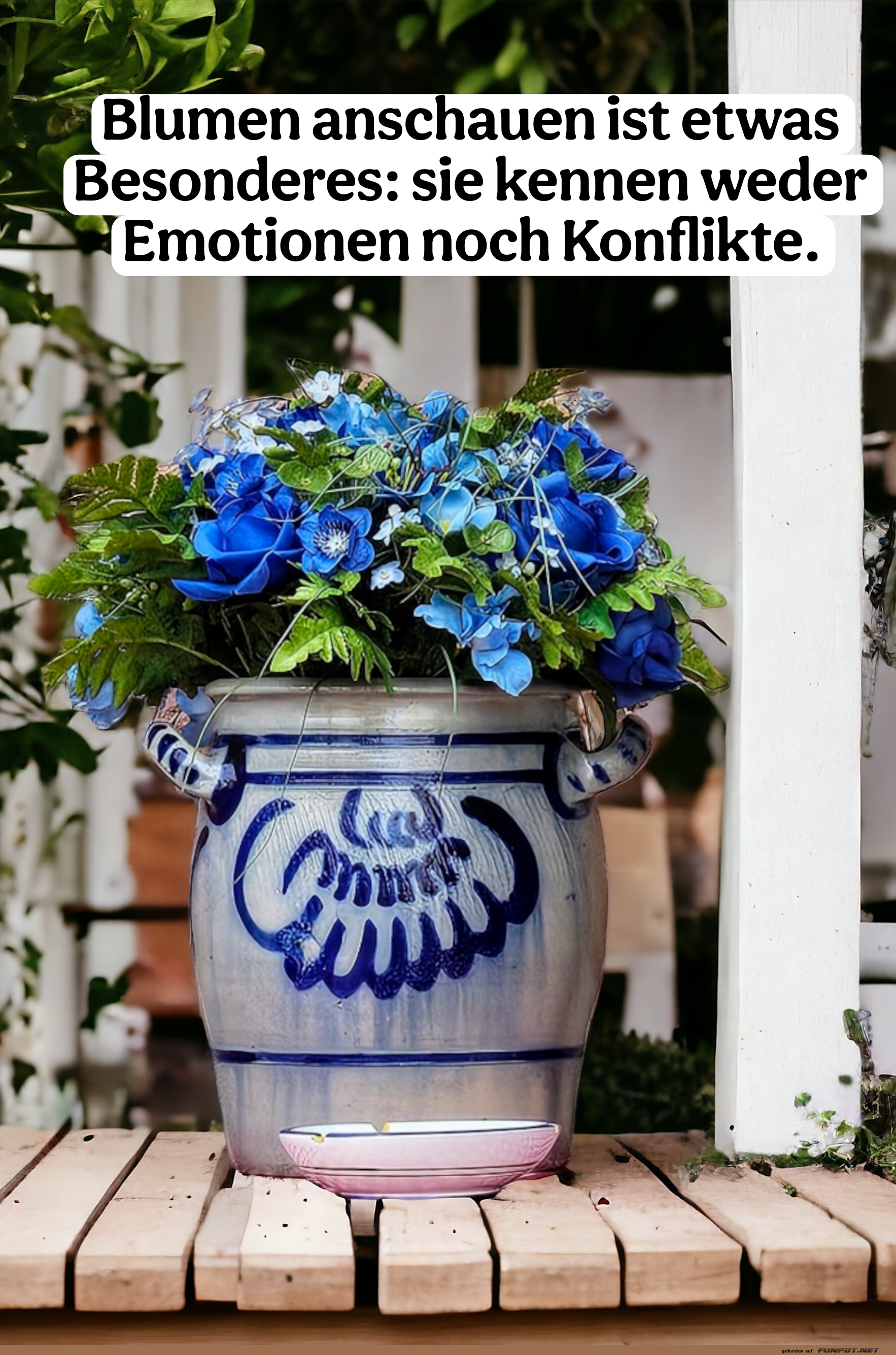 blumen anschauen ist etwas