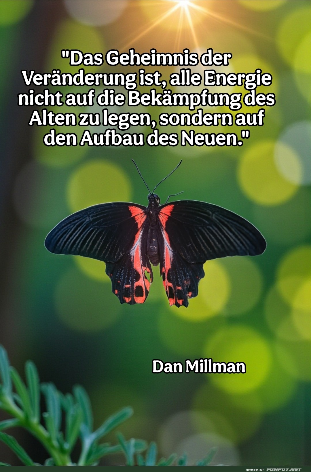 das geheimnis der ver�nderung..