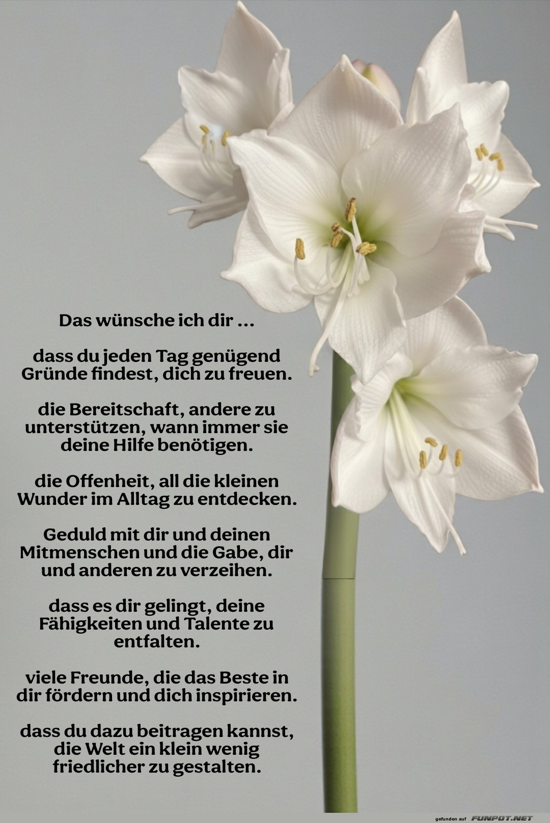 das w�nsche ich dir