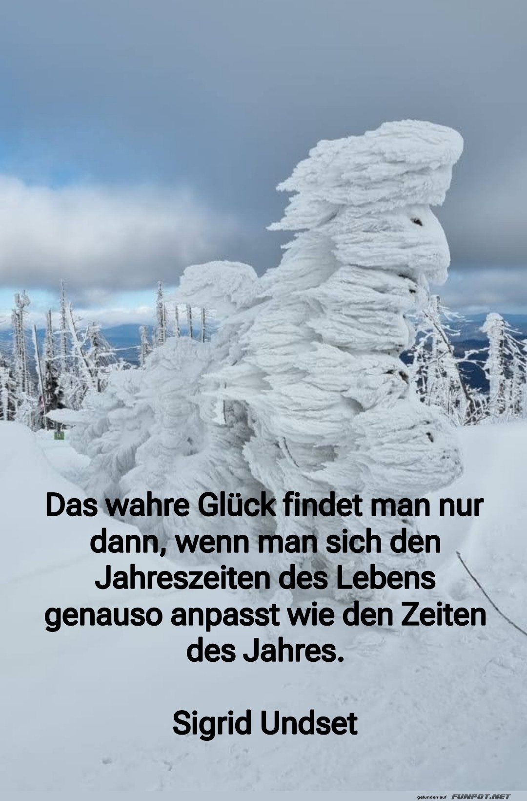 das wahre gl�ck findet man