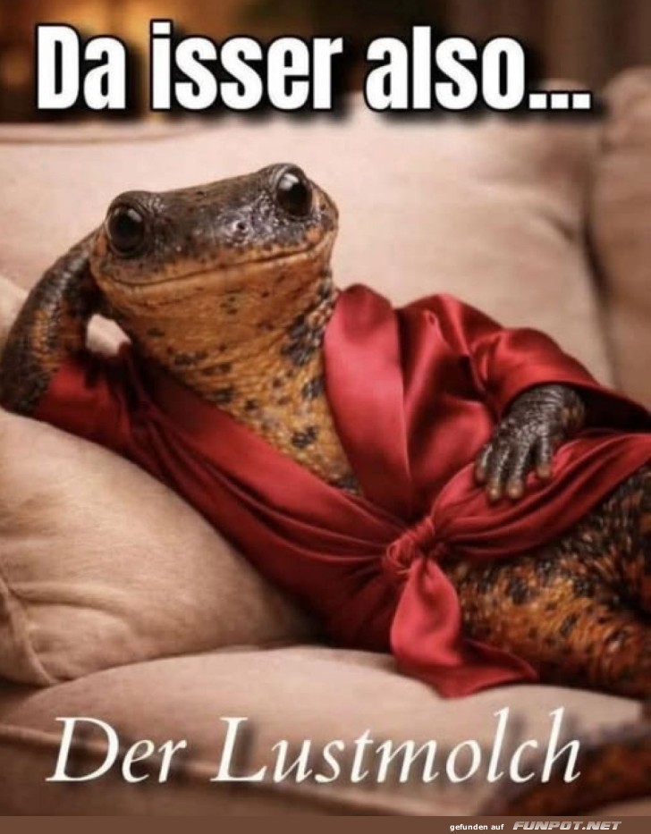 Der Lounge-Lurch chillt in Style!