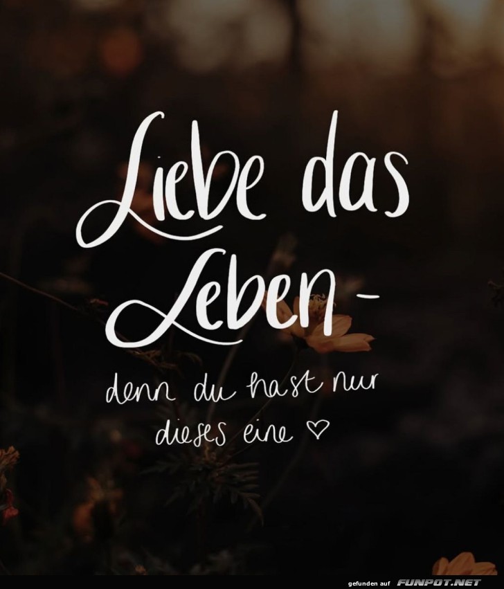 Kaffee-Trinker und Lebensgenie�er aufgepasst!