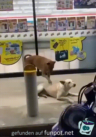 Ich kratze dich Ich kratze dich