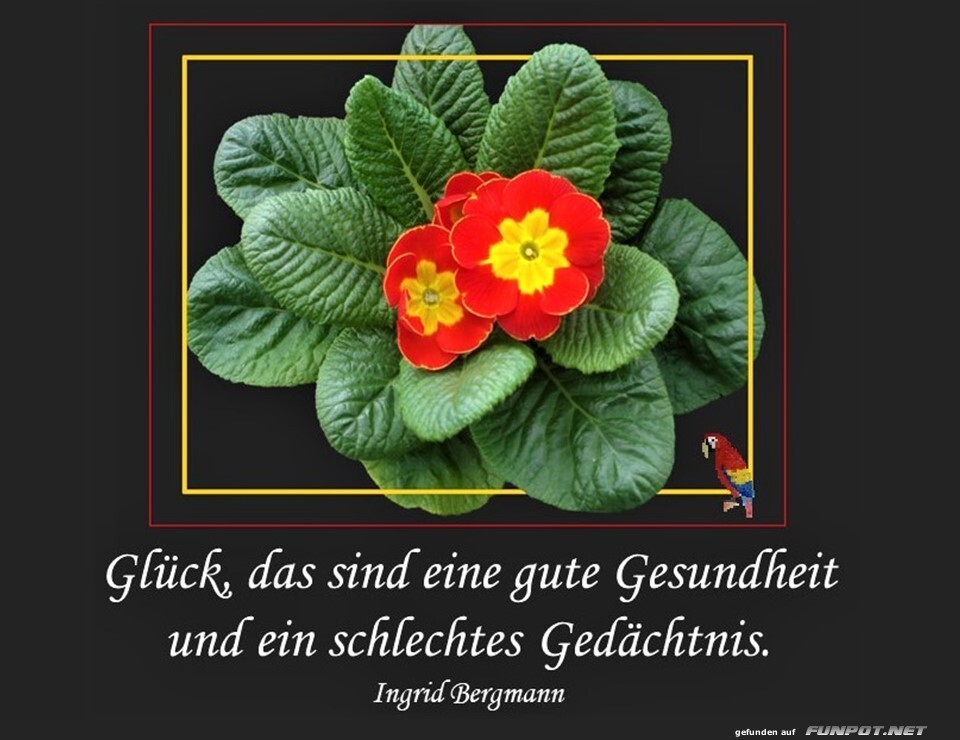 Glück ist 1