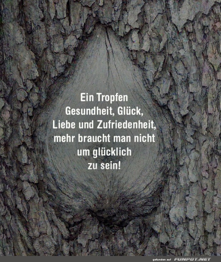 Baum-Weisheit: Glück aus der Rinde!