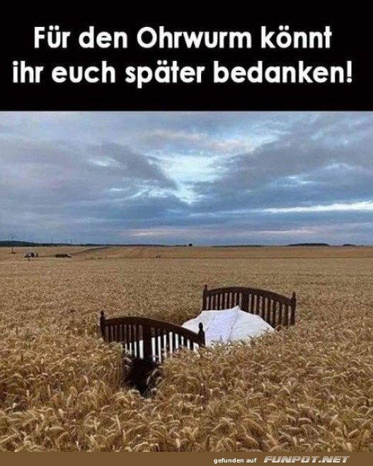 Das Kornfeld-Bett f�r Tr�umer