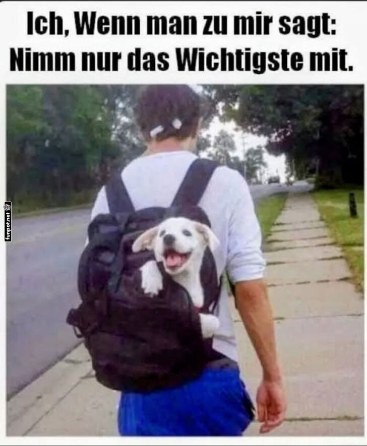 Rucksack-Upgrade: Hund statt B�cher!