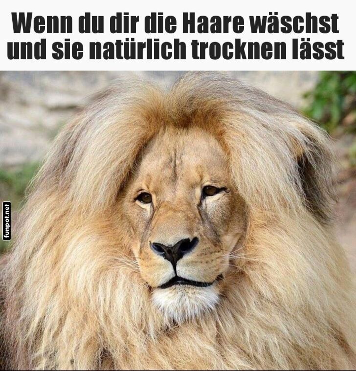 Hair Goals: Löwenmähne Edition Hair Goals: Löwenmähne Edition