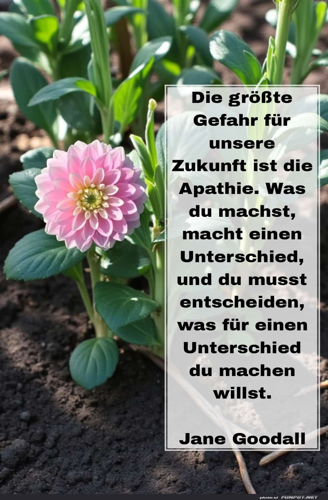 die gr��te gefahr f�r unsere zukunft