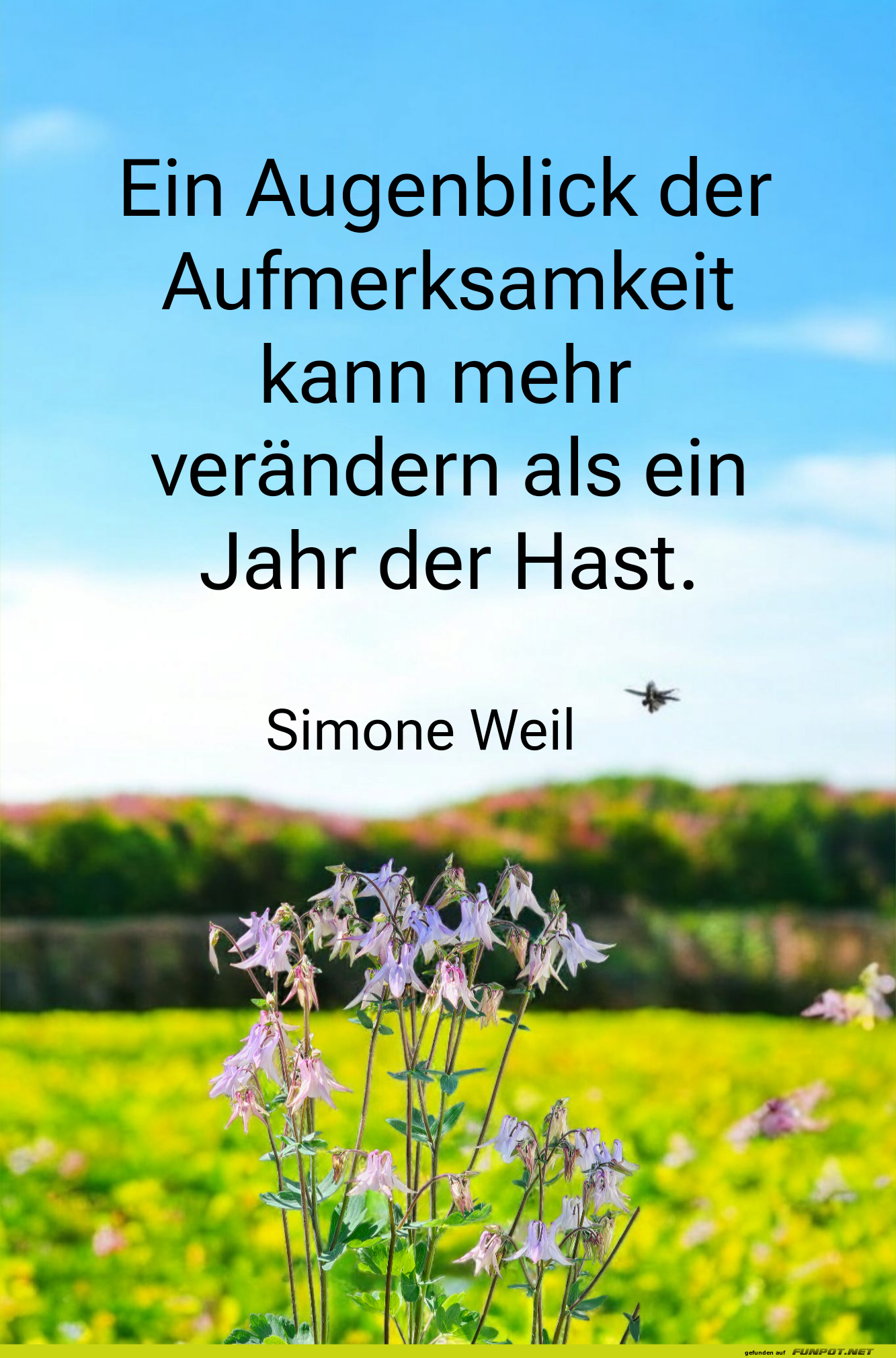 ein augenblick der aufmerksamkeit