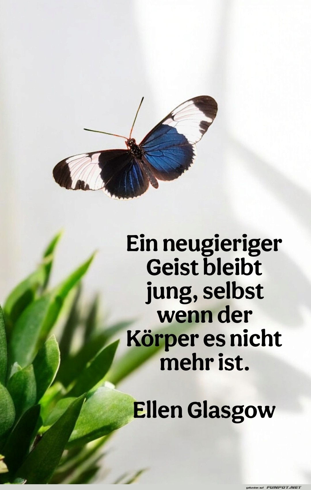 ein neugieriger geist