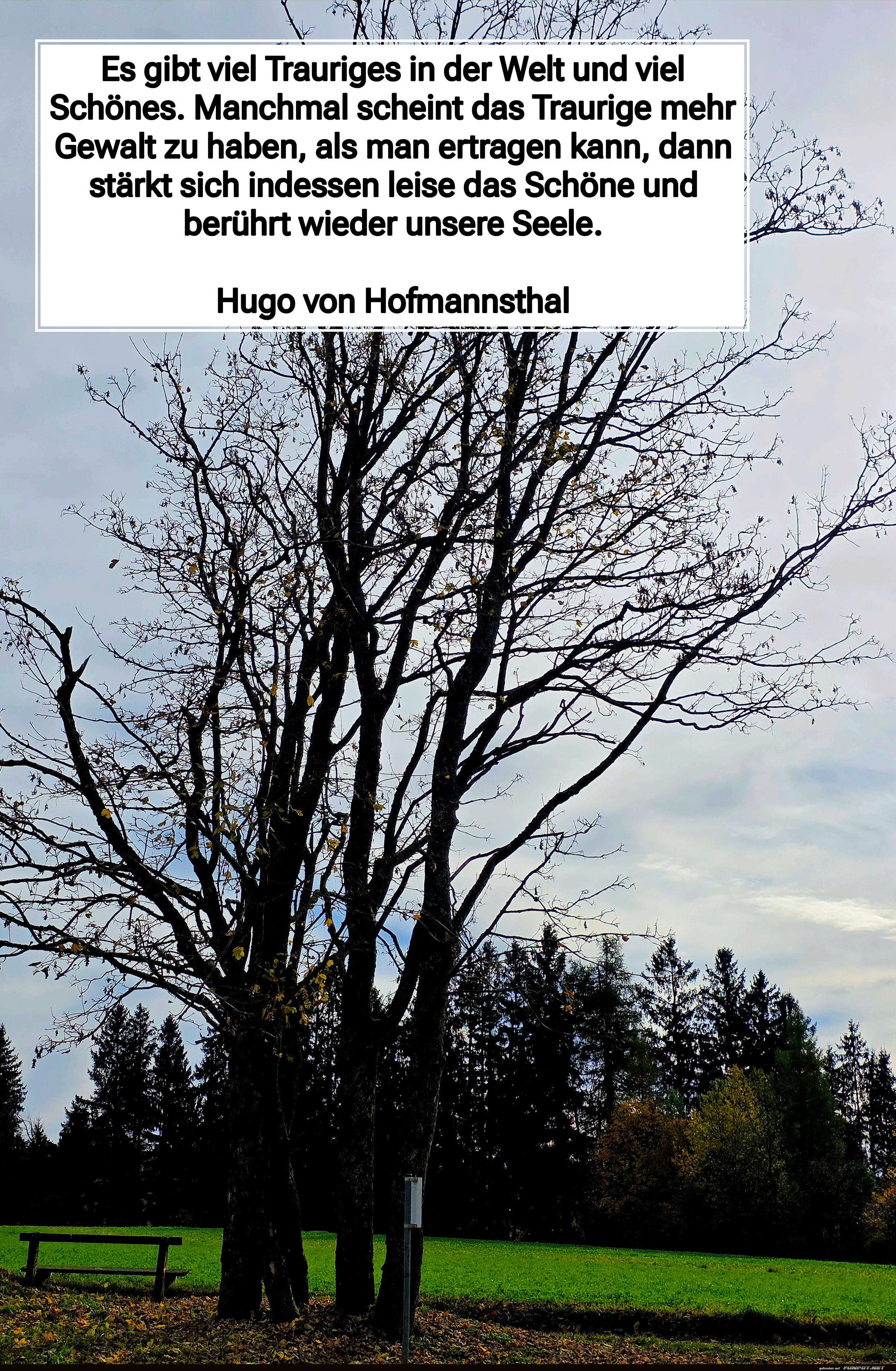 es gibt viel trauriges