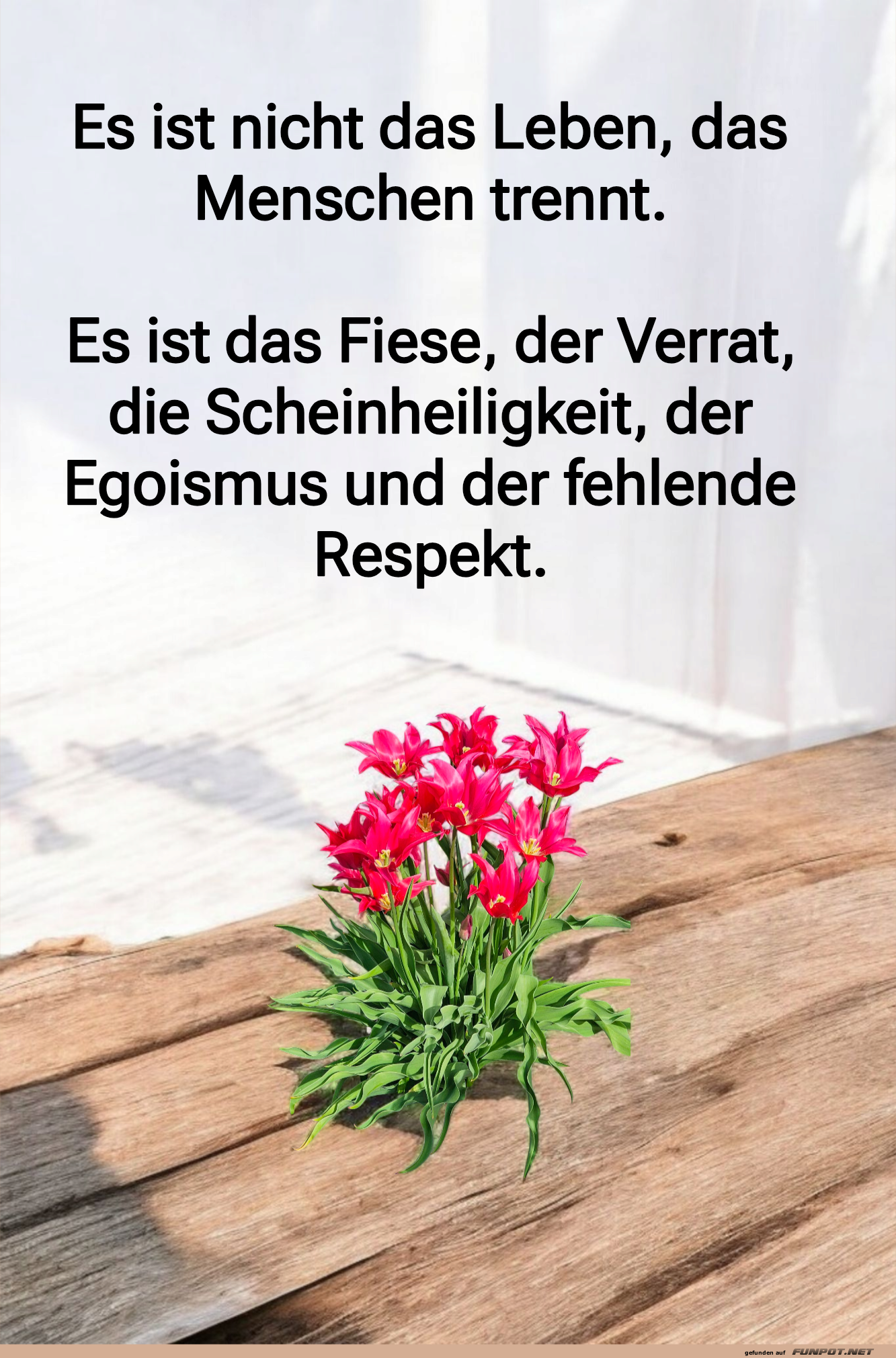 es ist nicht das leben