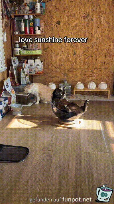 Sonnenplatz Sonnenplatz