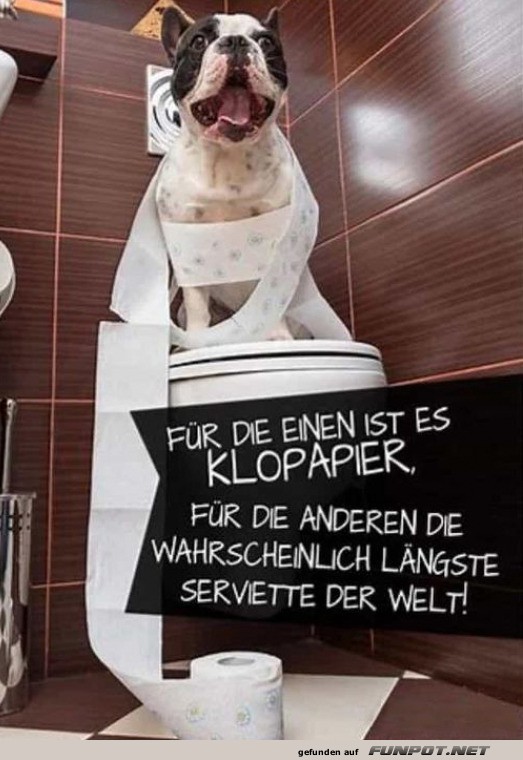 Hund denkt: Klopapier oder Haute Cuisine?