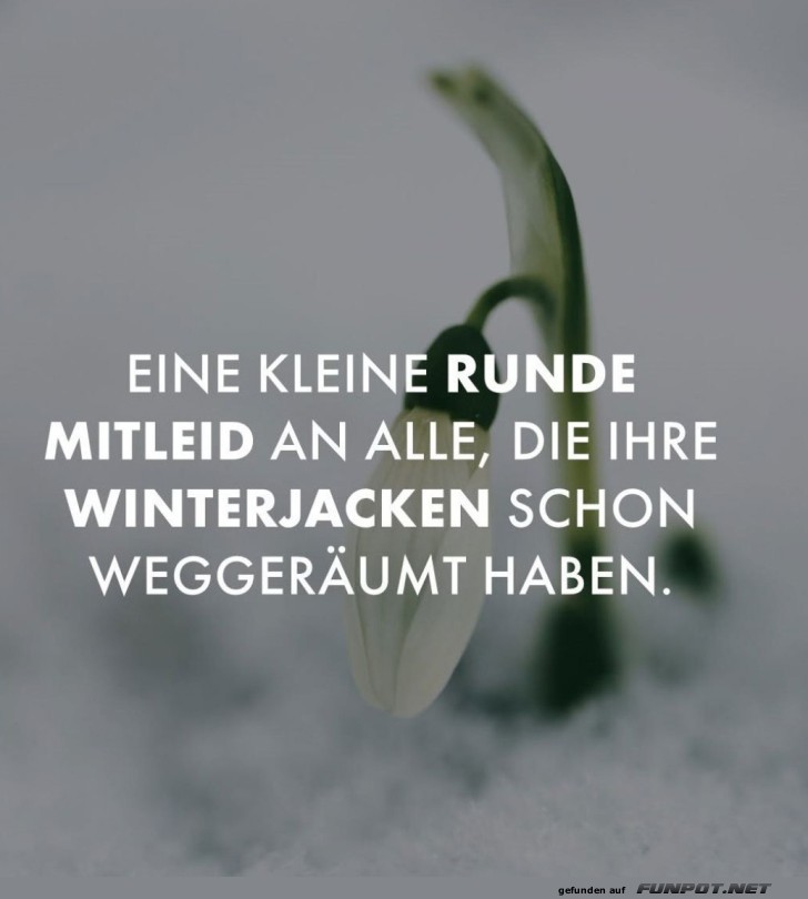 Frühlingstrick: Rückkehr der Winterjacke