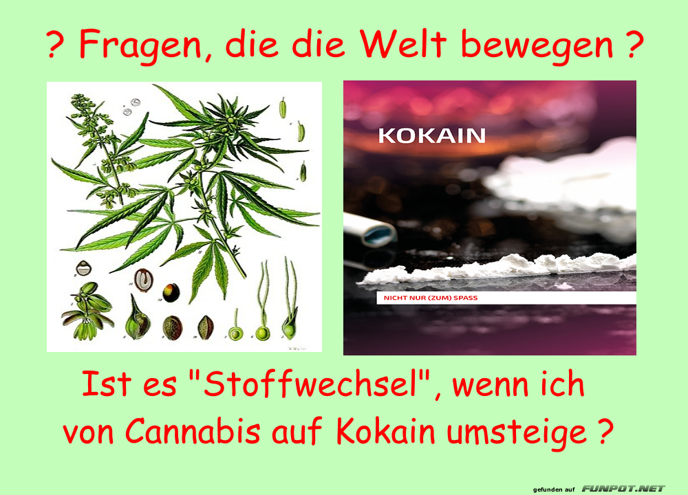 Stoffwechsel-Theorie der besonderen Art